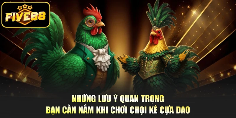 Những lưu ý quan trọng bạn cần nắm khi chơi chọi kê cựa dao
